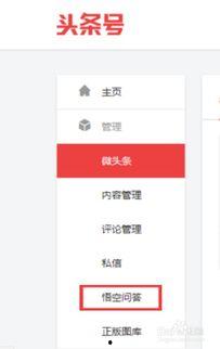 玩头条先从问答开始,从问答环节开启精彩互动之旅