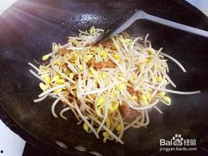 豆芽蚂蚁网红哪个公司,揭秘打造爆款内容的幕后公司