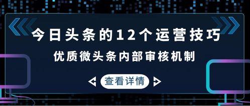 今日头条内部审核要多久