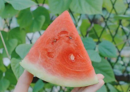 吃砍瓜降血糖吗怎么吃,食用方法与功效解析