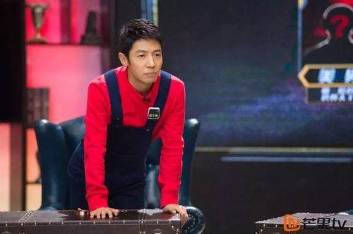 明星大侦探撒贝宁游戏,撒贝宁智破谜案，揭秘神秘事件真相