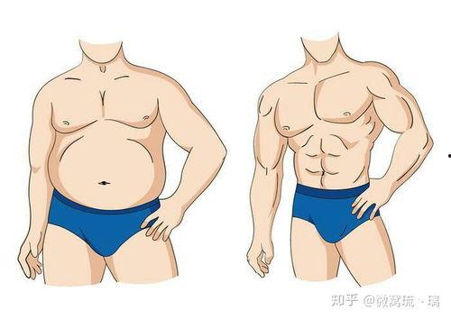 男明星大肚子脂肪,揭秘明星身材管理的秘密与挑战