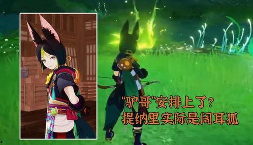 原神最新爆料提纳里,神秘幻影，揭秘元素之力