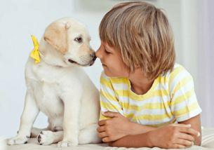 姓马的网红艺名,网络红人的崛起与影响力