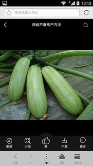 凉太和花老师什么瓜,揭秘娱乐圈的甜蜜瓜葛