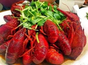 高州网红小龙虾做法,秘制风味，一口接一口的诱惑